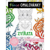 Relaxační omalovánky: Zvířata - Vašut