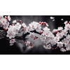 Obraz – Biele Kvety Príroda – AiArt 16:9