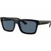 Ray-Ban Warren RB4396 667780