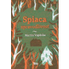 Martin Vopěnka Spiaca spravodlivosť