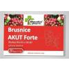 Slovakiapharm Brusnice Akut Forte 20 kapsúl