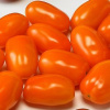 Rajčiak indeterminantný Dattorange F1 100 semien