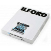 Fujifilm Ilford Delta 100 10