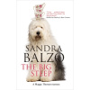 The Big Steep (Balzo Sandra)