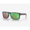 Oakley Holbrook oo9102-J8