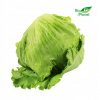 ĽADOVÝ ŠALÁT ČERSTVÝ BIO (POĽSKO) (približne 0,20 kg)