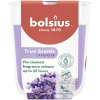 Sviečka Bolsius True Scents, levanduľa, 80x73 mm, v skle