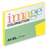 Ibiza Coloraction A4 80 g/m2 100 listů
