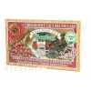 HERBEX UROLOGICKÝ ČAJ S BRUSNICAMI bylinný čaj 20x3 g (60 g)