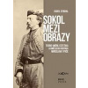 Sokol mezi obrazy