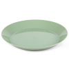 Tanier GSI Cascadian Plate sage