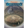 Putování labyrintem světa - Vaněček Michal