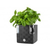 Plastkon Samozavlažovací květináč Cobble 14x14x14 cm antracitový