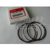 HONDA CBR900 CBR929 PIESTOVÉ KRÚŽKY OEM