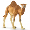Schleich 14832 Velbloud Dromedár