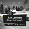 Sluneční bouře - Åsa Larsson (mp3 audiokniha)