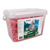 Mikrop Horse pochoutka pro koně Mrkva 2,5kg