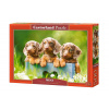 Castorland Cute dachshunds 500 dielov