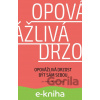 E-kniha Opovážlivá drzost být sám sebou - Jan Menděl, David Toegel