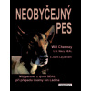 Neobyčejný pes - Will Chesney