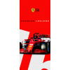 CUKROVÁ TLAČ jedlý obrázok na tortu Cukrová hmota Charles Leclerc Formula 1 + MENO