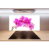 Panel do kuchyne Ružová orchidea 100x50 cm