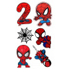 CUKROVÁ TLAČ jedlý obrázok na tortu Cukrová hmota SPIDER MAN SPIDERMAN + TEXT#16