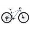 CTM Rambler 1.0 29 Concrete Gray - L 2026