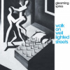 Gleaming Spires - Walk On Well Lighted Streets / Digipack [CD]