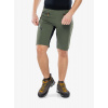 Turistické kraťasy Dynafit Traverse DST Shorts - thyme
