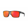 Oakley Holbrook XL oo9417-29