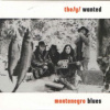The(y) Wanted - Montenegro Blues / pošetka [CD]