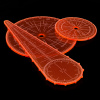 Green Stuff World Blast Markers and Templates - Fluor Orange