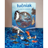 Tučniak a polárne zvieratá - Monica di Lorenzo, Sara Coltellese ilustrácie