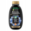 Šampón Garnier Botanic Therapy na vlasy Aktívne uhlie 400 ml