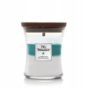 WoodWick Trilogy - Icy Woodland 275 g