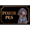 Český fúzač - Kovová tabuľka POZOR PES
