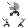 ANEX IQ silve 2026