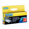Rapid 53/10
