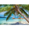 ALIPSON Puzzle Tropická pláž 1000 dielikov