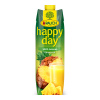 Rauch Happy Day Ananás 100%