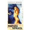 Pomýlená navigácia (Ladislav Herzog)