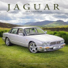 Jaguar, 30,5 x 30,5 30,5 x 61 cm 2026