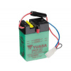 YUASA Conventional 6V battery NO ACID YUASA 6N2A-2C