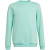 Adidas Entrada 22 Sweat Top Jr HC5042 sweatshirt (101494) Beige 164cm