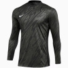 Nike Gardien V Goalkeeper DF V M FD7474-060