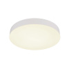 GLOBO MATTHEW 12384-24W stropné svietidlo LED 24W