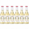 6 x Barmanský sirup MONIN White Chocolate BIELA ČOKOLÁDA 250 ml