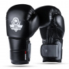 Boxerské rukavice DBX BUSHIDO DBX-B-2v9 12 oz