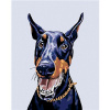 Maľovanie podľa čísel - Doberman, 40 x 50 cm, bez rámu a napnutého plátna 8596530011767